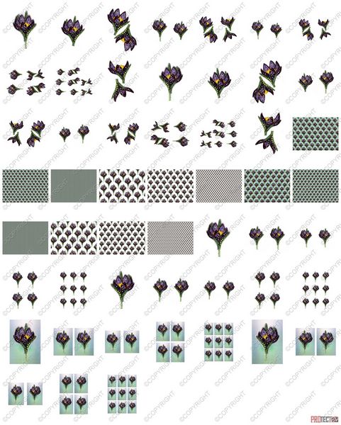 Bejewelled Crocus Set 01 - 52 Pages to Download