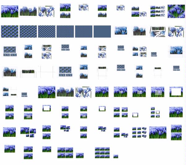 Blue Iris Set Download - 76 Pages