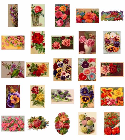 Botanical Bonanza <b>DOWNLOAD Over 500 Sheets