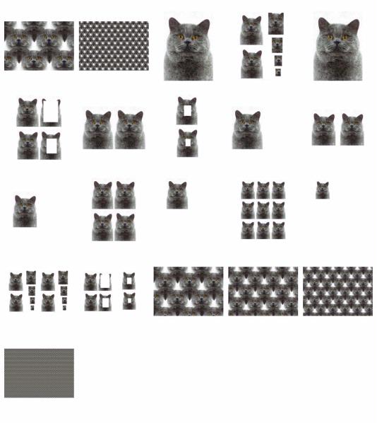 Hand Painted Effect British Short Hair Cat Set Download - 21 Pages