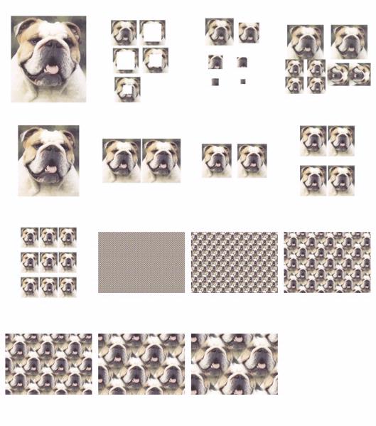 .Hand Painted Effect Bulldog Set Download  - 14 Pages