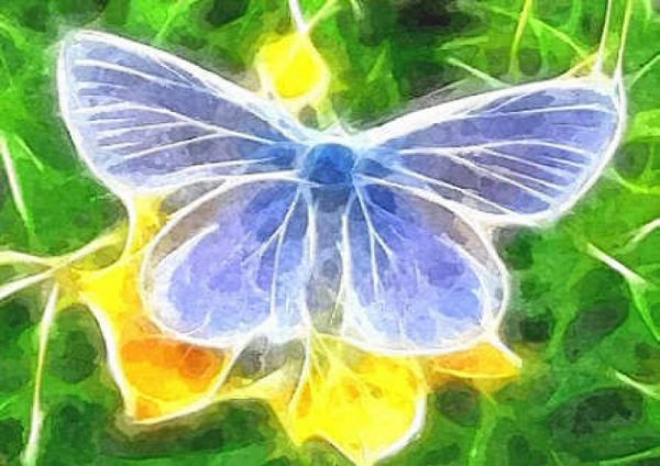 Hand Painted Effect Butterfly & Flowers Set 04 Download - 39 Pages