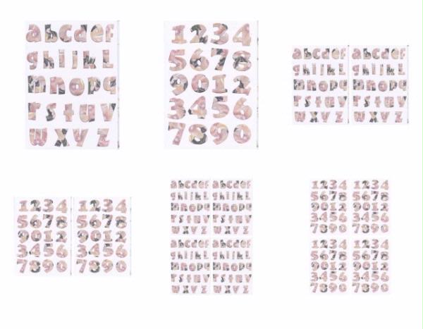 Christmas Rose and Holly Alphabet Sheets - 6 x A4 Download