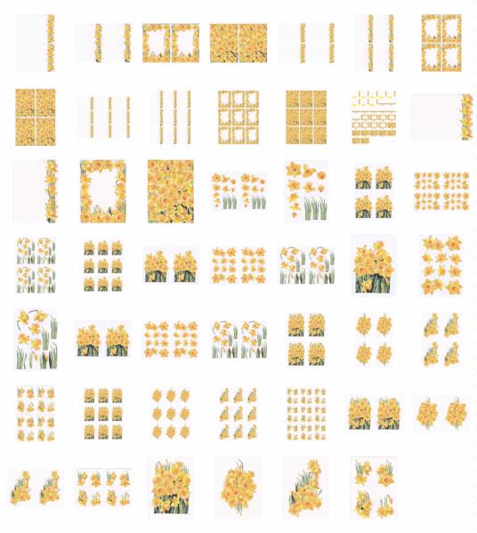 ALL 5 Daffodil Kits to Download - Over 50 x A4 Pages