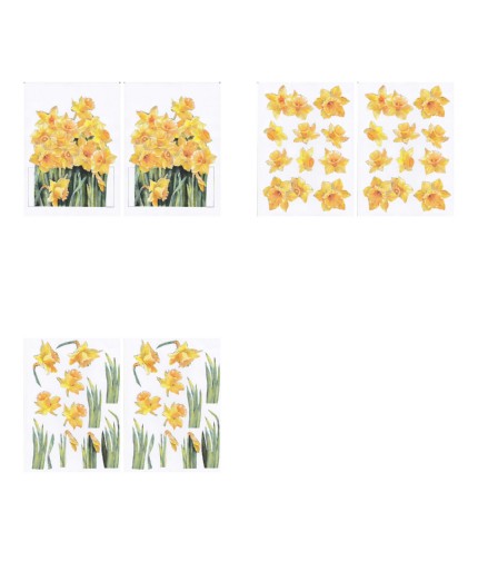 Daffodil Project - 3 x A4 Pages to Download