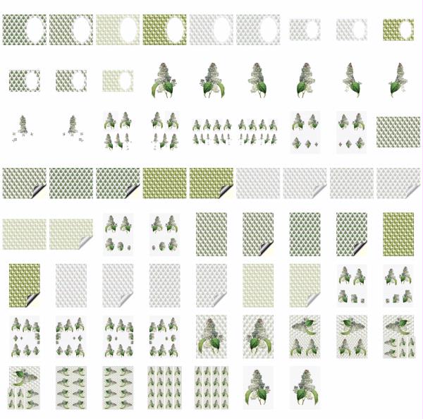 Fountain of Flowers Set 14 - 70 Pages to DOWNLOAD