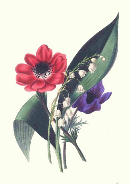 Fountain of Flowers Set 01 - 72 Pages to DOWNLOAD