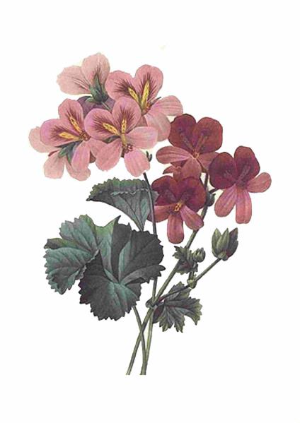 Fountain of Flowers Set 03 - 72 Pages to DOWNLOAD