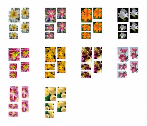 Lily Toppers Download