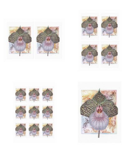 Orchids Toppers 03 - 4 x A4 Pages to Download