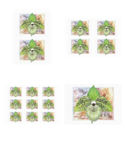 Orchids Toppers 04 - 4 x A4 Pages to Download