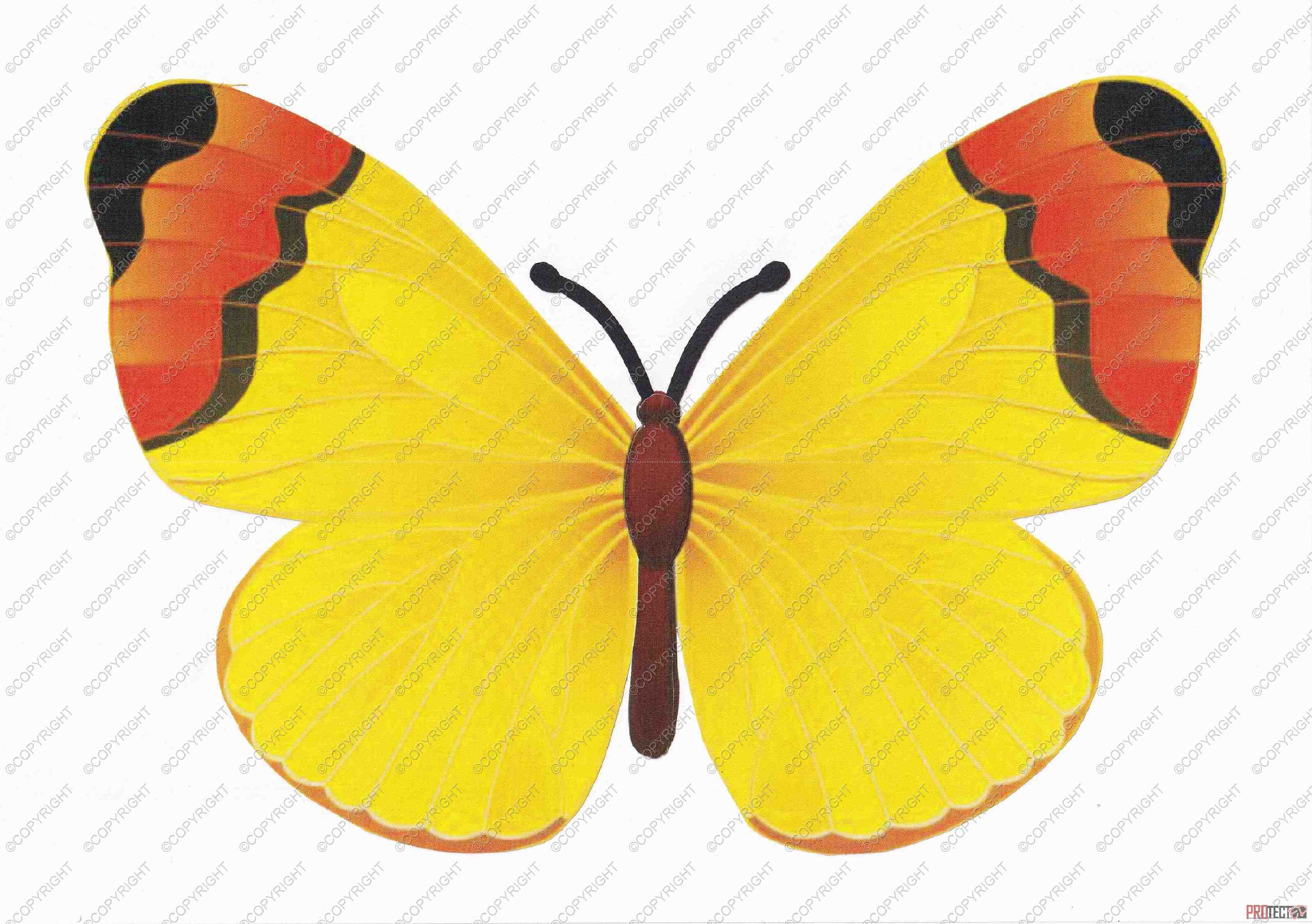 Beautiful Butterflies 01 - 52 Pages to Download