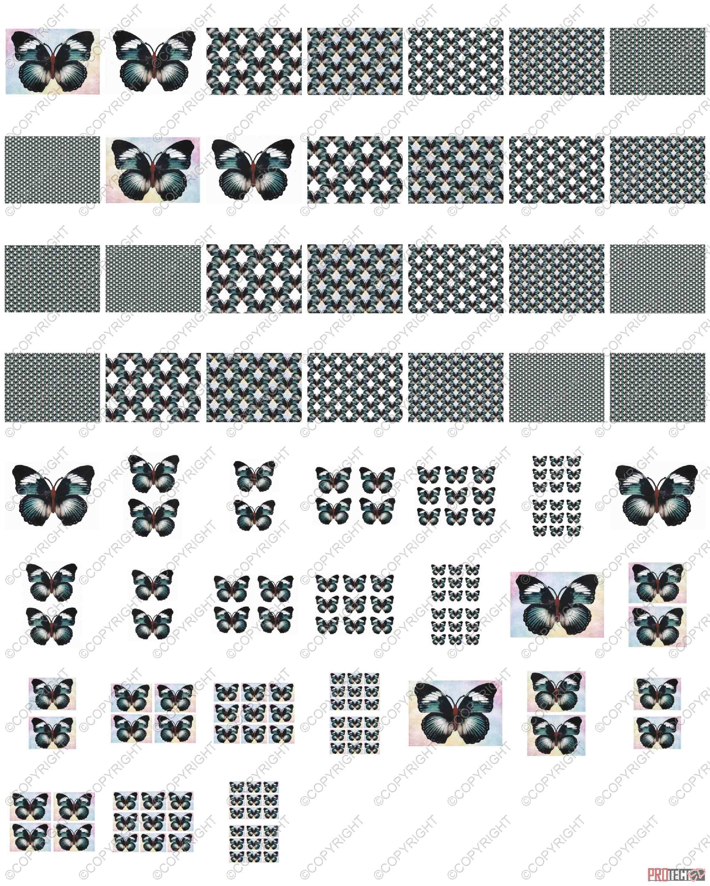 Beautiful Butterflies 02 - 52 Pages to Download