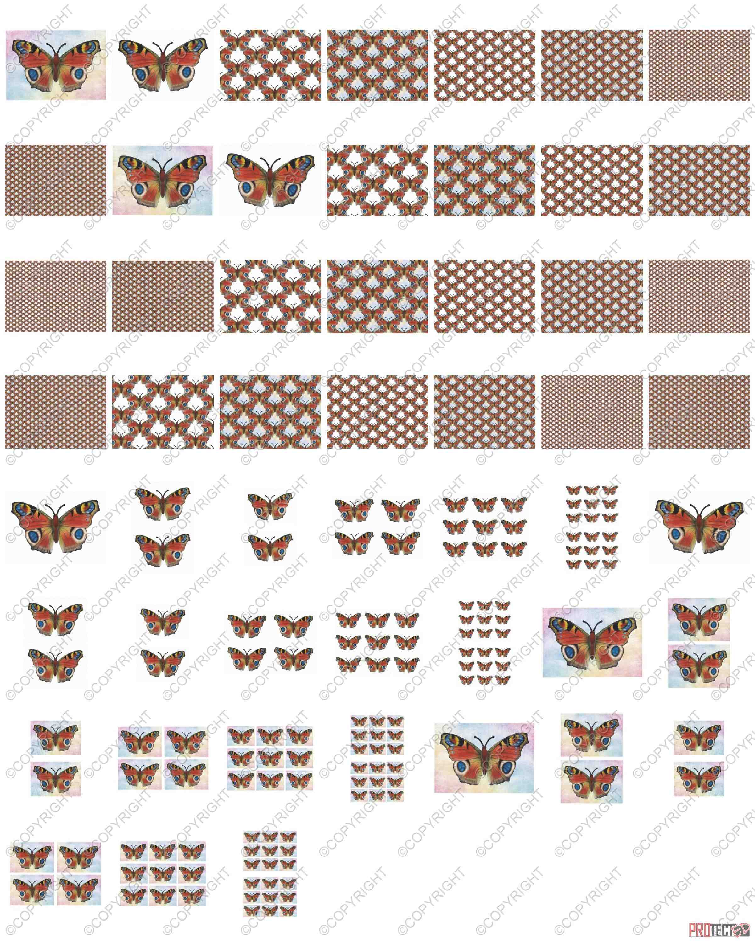 Beautiful Butterflies 04 - 52 Pages to Download