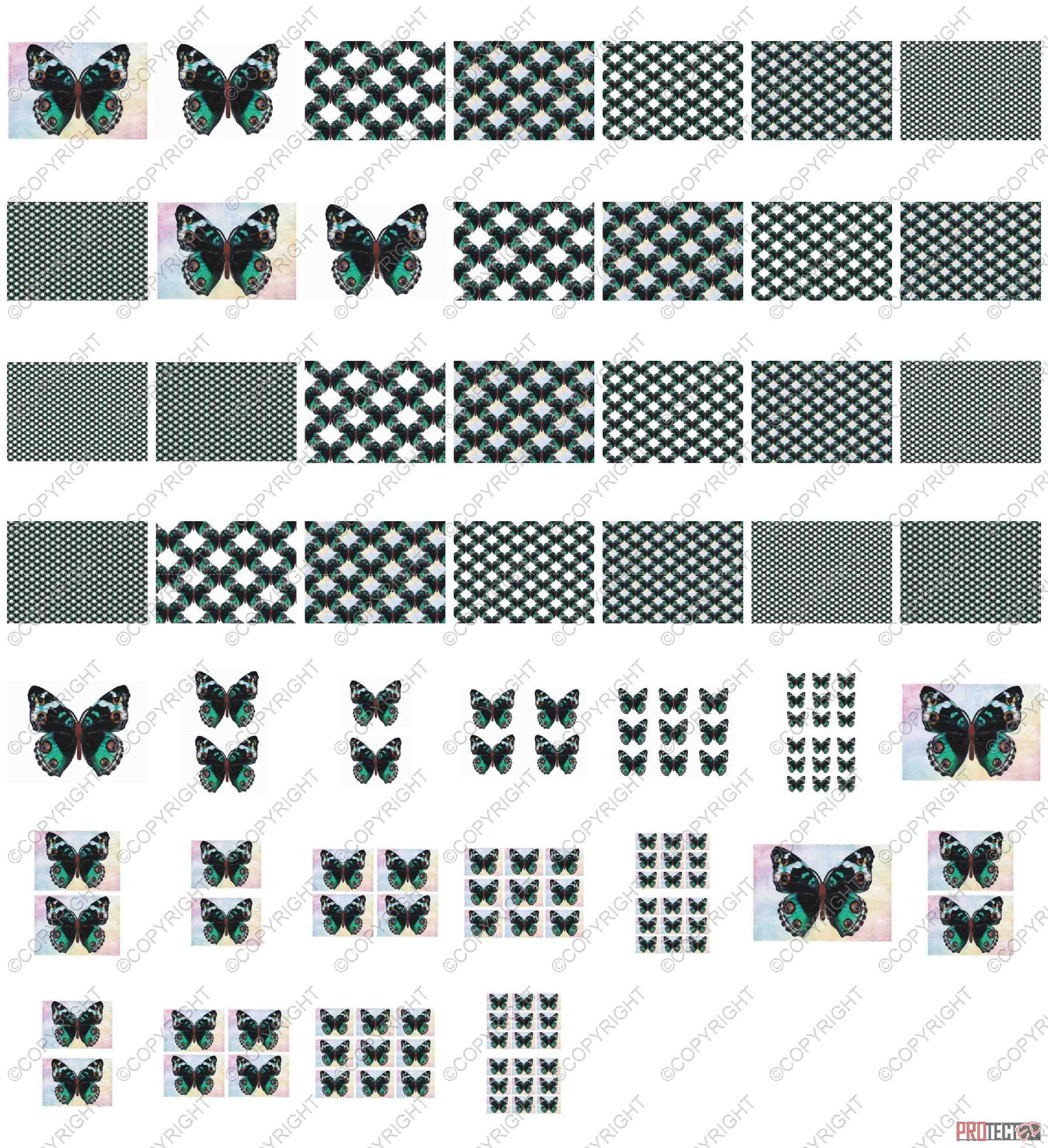 Beautiful Butterflies 08 - 52 Pages to Download