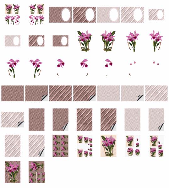 Opulent Orchids 22 - 44 x A4 Pages
