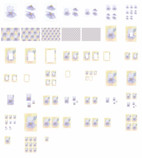 Bold Pansy Set 06 - 44 Pages to Download