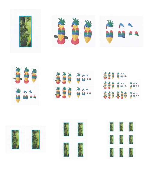 Parrots Set 01 - 9 x A4 Pages to Download