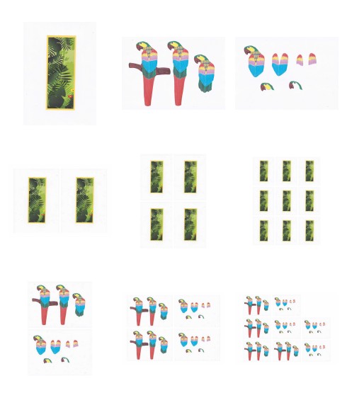 Parrots Set 03 - 9 x A4 Pages to Download