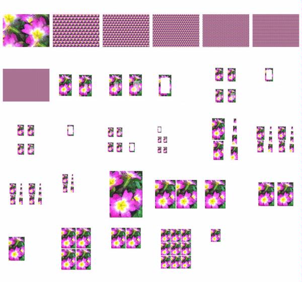 Polyanthus Set 01 - 29 Pages to Download