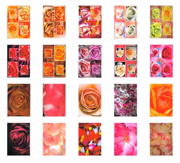 Rose All in 1 Sheets - 20 Pages to Download