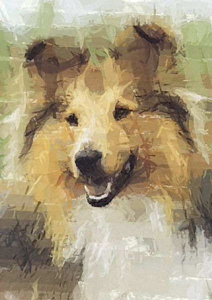 Hand Painted Effect Shetland Sheepdog - 20 Sheets to Download