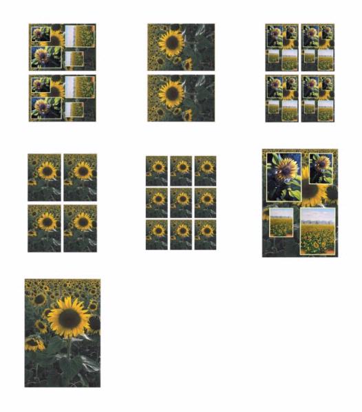 Sunflower Surprise All in 1 Design - 7 Pages DOWNLOAD