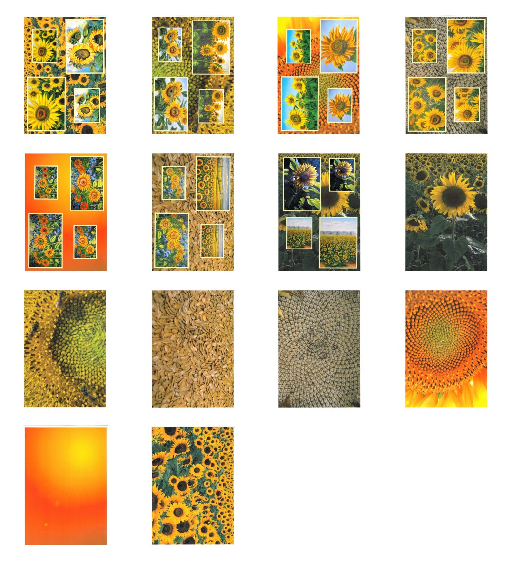 Sunflower Surprise Complete Set - 14 Pages to DOWNLOAD