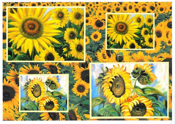Sunflower Surprise All in 1 Design 1 - 7 Pages DOWNLOAD