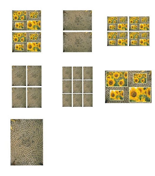 Sunflower Surprise All in 1 Design 4 - 7 x Pages DOWNLOAD