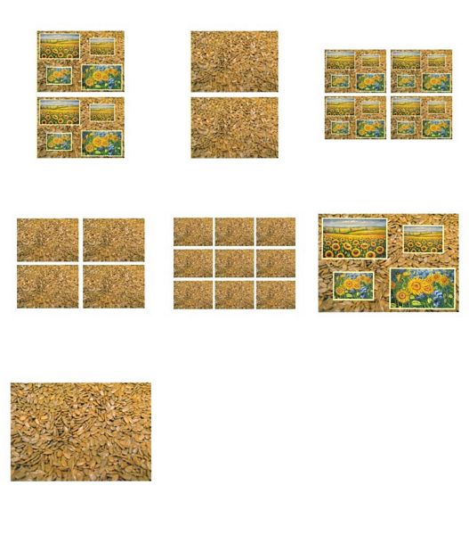 Sunflower Surprise All in 1 Design 6 - 7 Pages DOWNLOAD