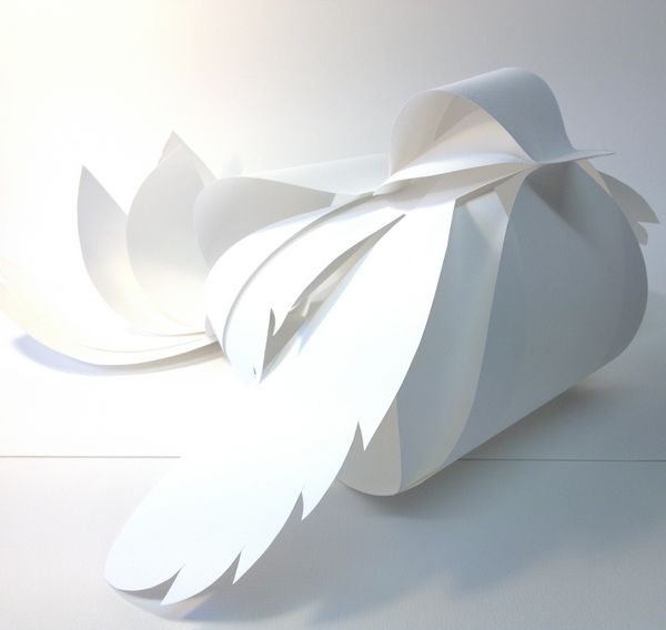 Beautiful 3D Bird Template Set - 6 Sizes 