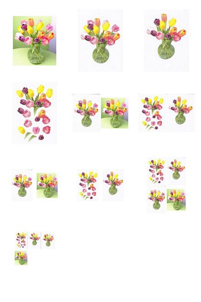 Assorted Tulips in a Vase Project - 10 Pages to Download