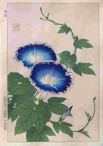 Blooms of the Orient Set 14 - 64 Pages to DOWNLOAD