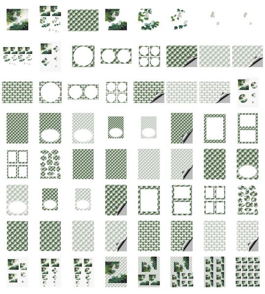 Blooms of the Orient Set 16 - 64 Pages to DOWNLOAD