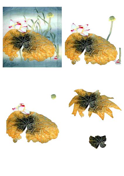 Blooms of the Orient Set 10 - 64 Pages to DOWNLOAD