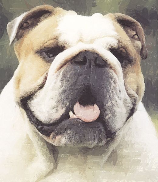 .Hand Painted Effect Bulldog Set Download  - 14 Pages