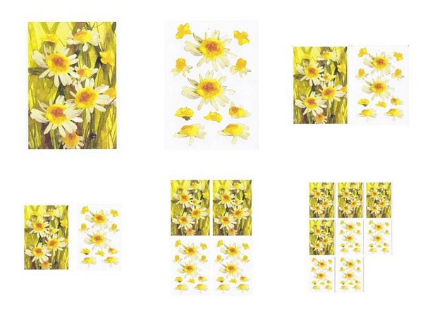 Daisies in Grass 3D Project - 6 Pages to Download