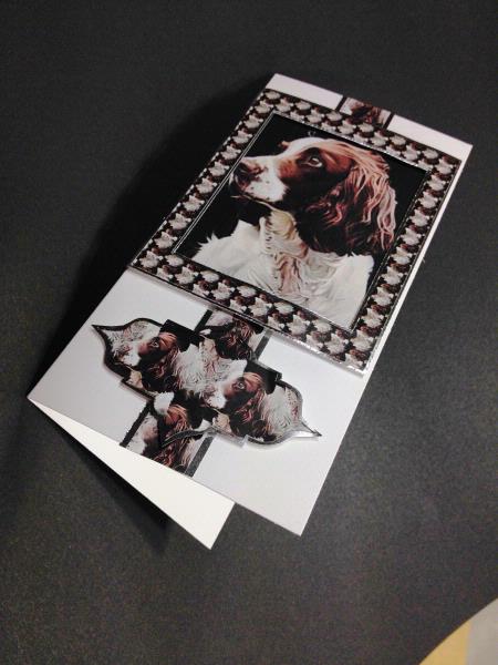 Spaniel Card Project 02 - 10 Pages to Download