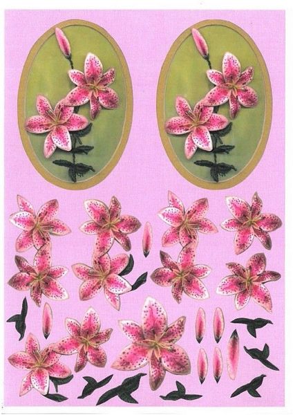 Oval Floral Fancy's Full Set - 15 x A4 Pages to Download