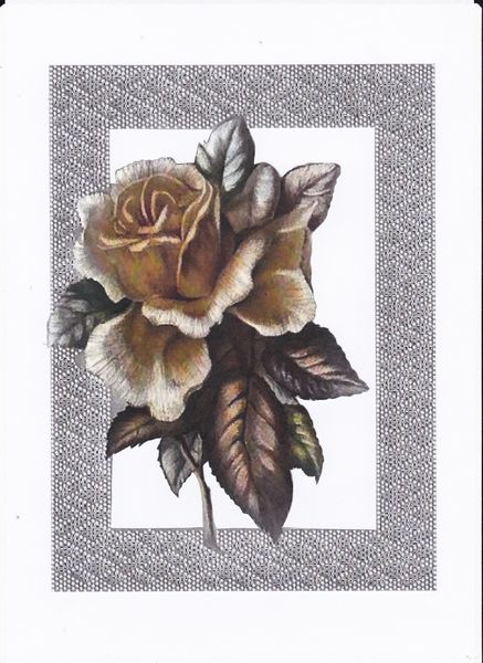 Faux Parchment Rose Frame Set - 27 Pages to Download