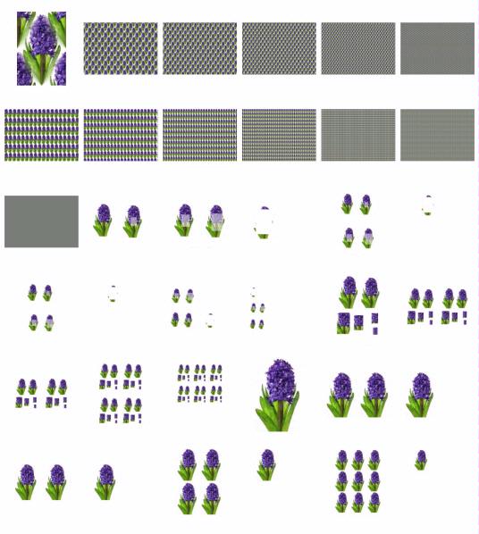 Hand Painted Effect Hyacinth Set 05 Download - 28 Pages to Download