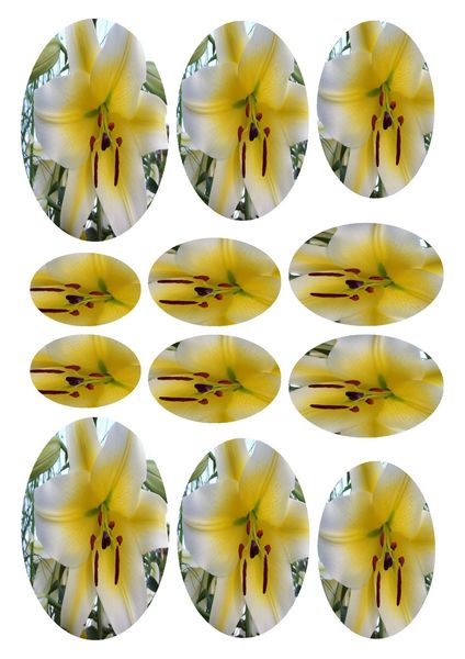 Lily Oval Stacking Decoupage - 10 Pages to Download