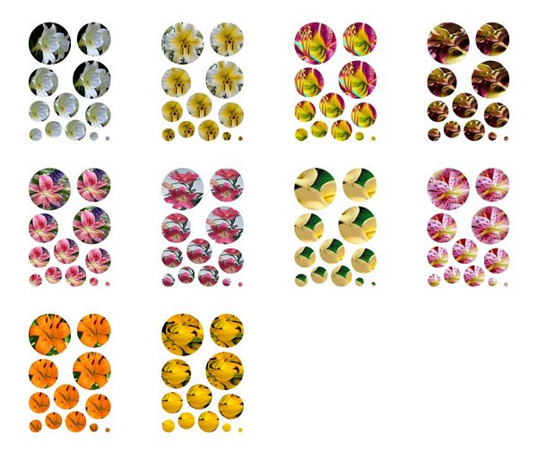 Lily Round Stacking Decoupage - 10 Pages to Download