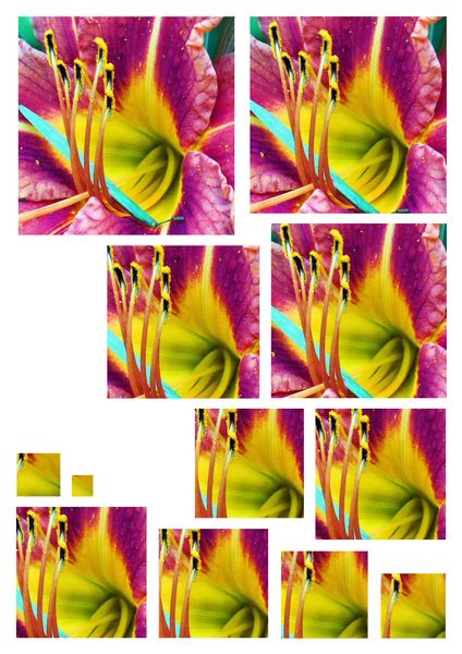 Lily Square Stacking Decoupage - 10 Pages to Download
