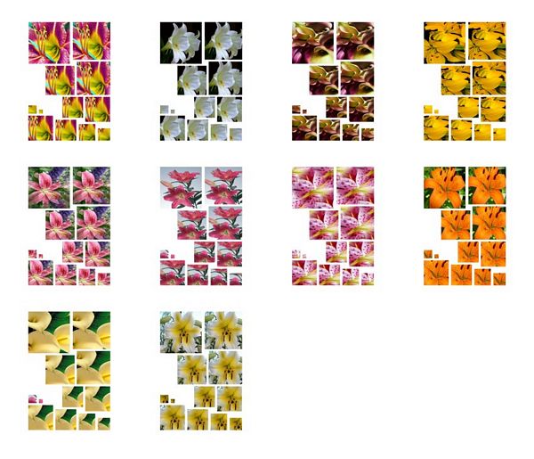 Lily Square Stacking Decoupage - 10 Pages to Download