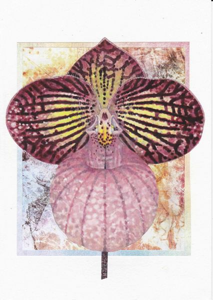 Orchids Toppers 01 - 4 x A4 Pages to Download