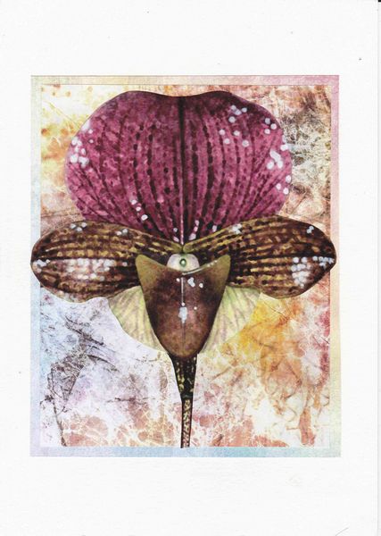 Orchids Toppers 02 - 4 x A4 Pages to Download