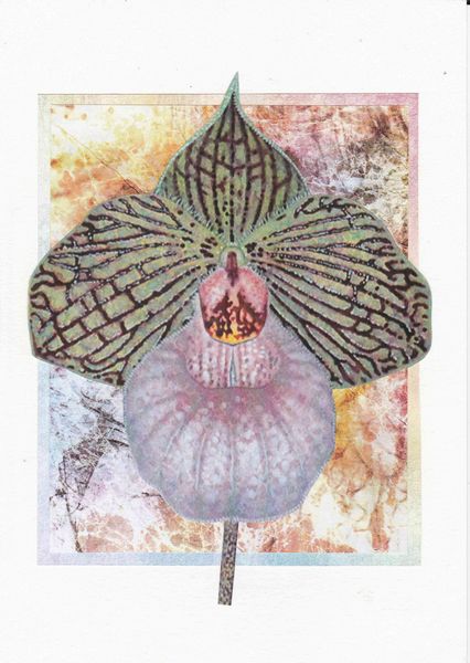 Orchids Toppers 03 - 4 x A4 Pages to Download