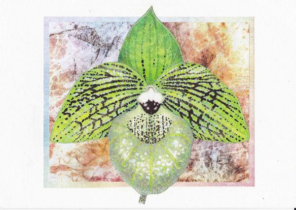 Orchids Toppers 04 - 4 x A4 Pages to Download